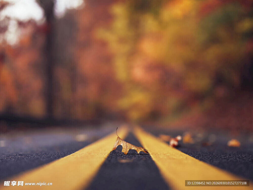 道路