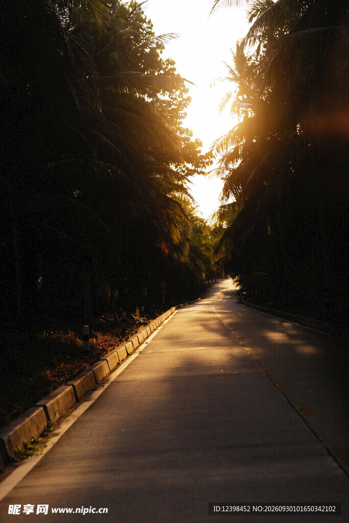 道路