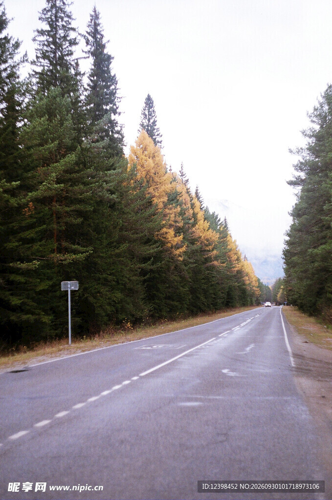 道路
