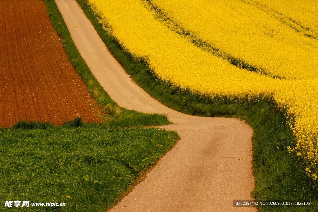道路