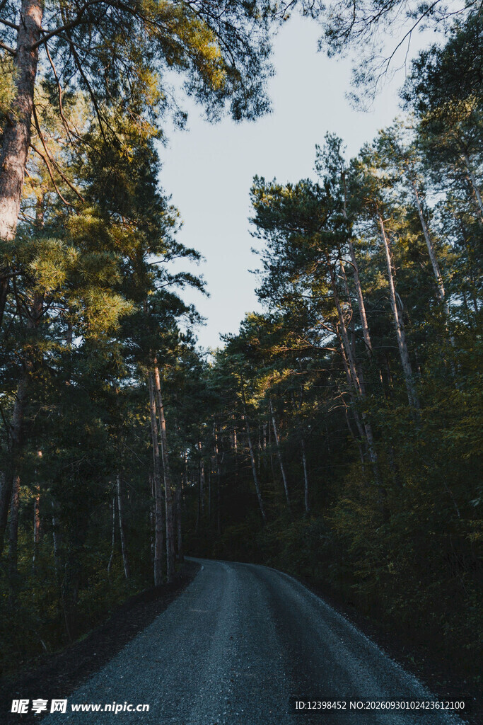 公路景观