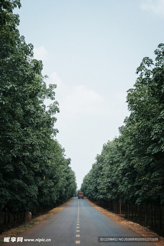 公路景观