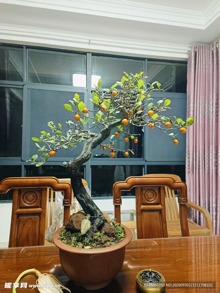 盆景