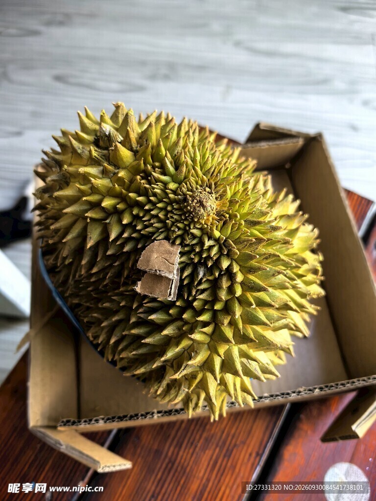 整颗新鲜带壳榴莲