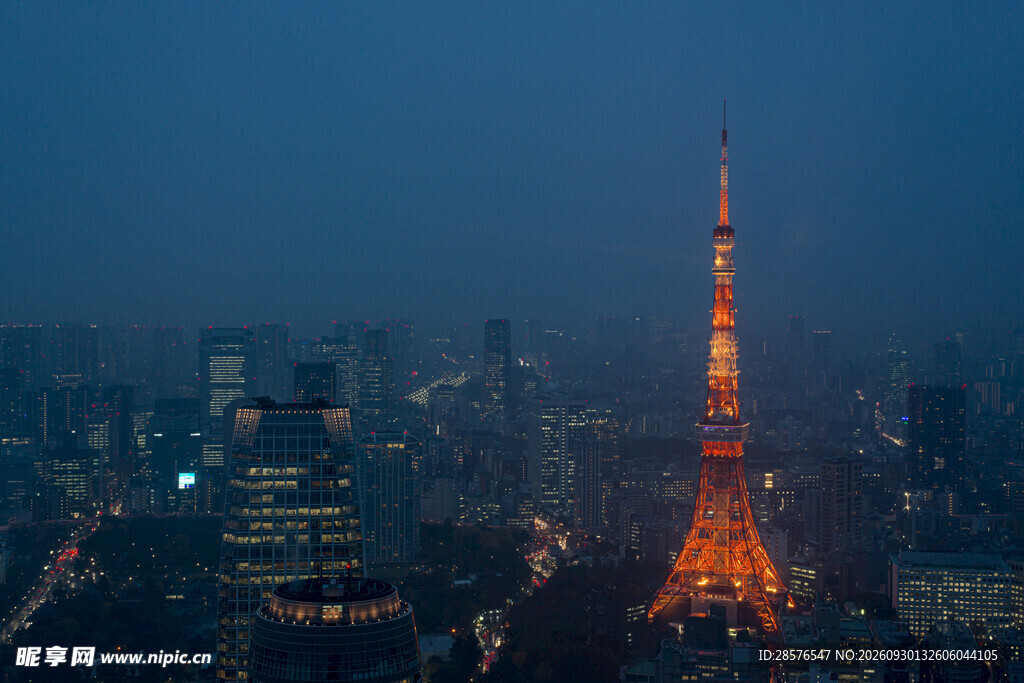 东京塔夜景城市风光