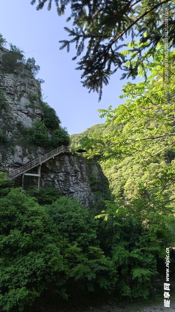 山林自然景观