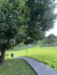 夏日公园步道