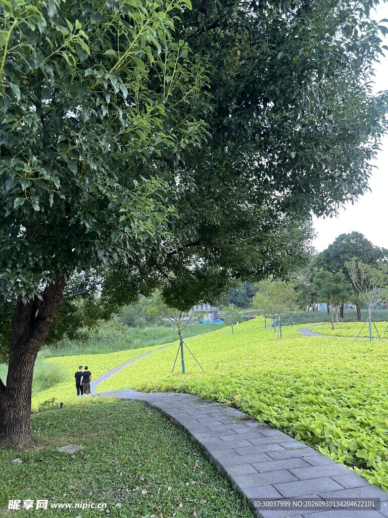 夏日公园步道