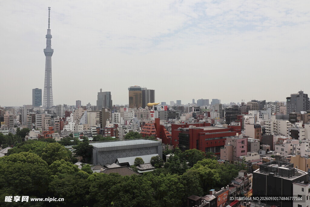 东京晴空塔城市全景
