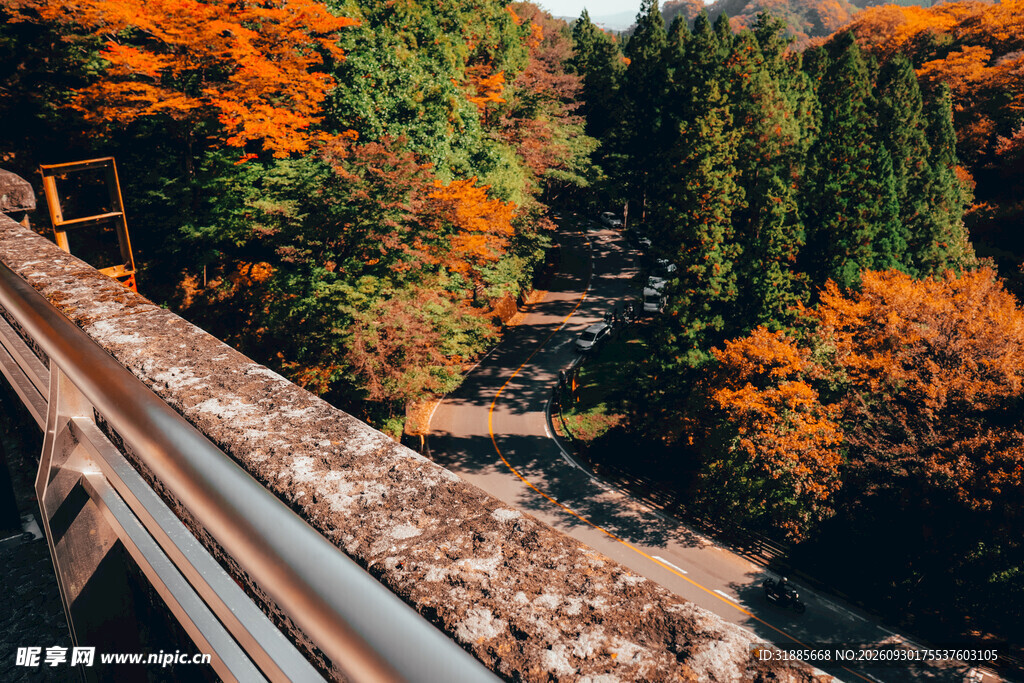秋日山林公路桥风光