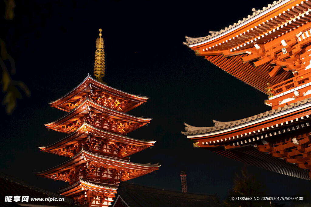 浅草寺五重塔夜景