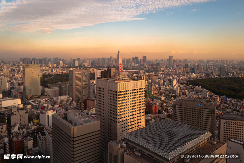 旧金山黄昏城市全景
