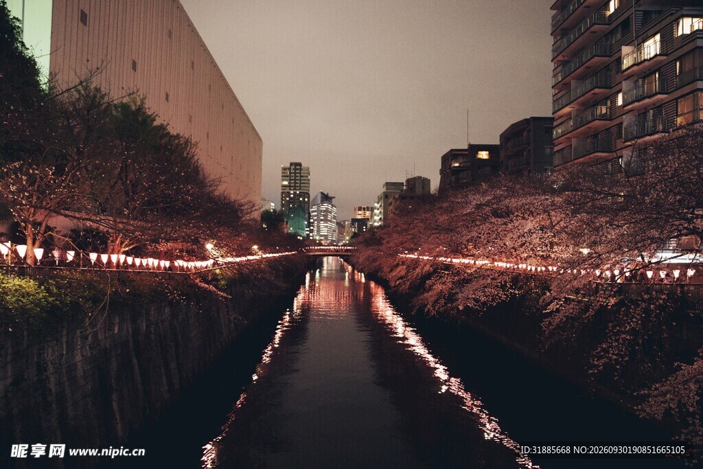 城市河道夜景