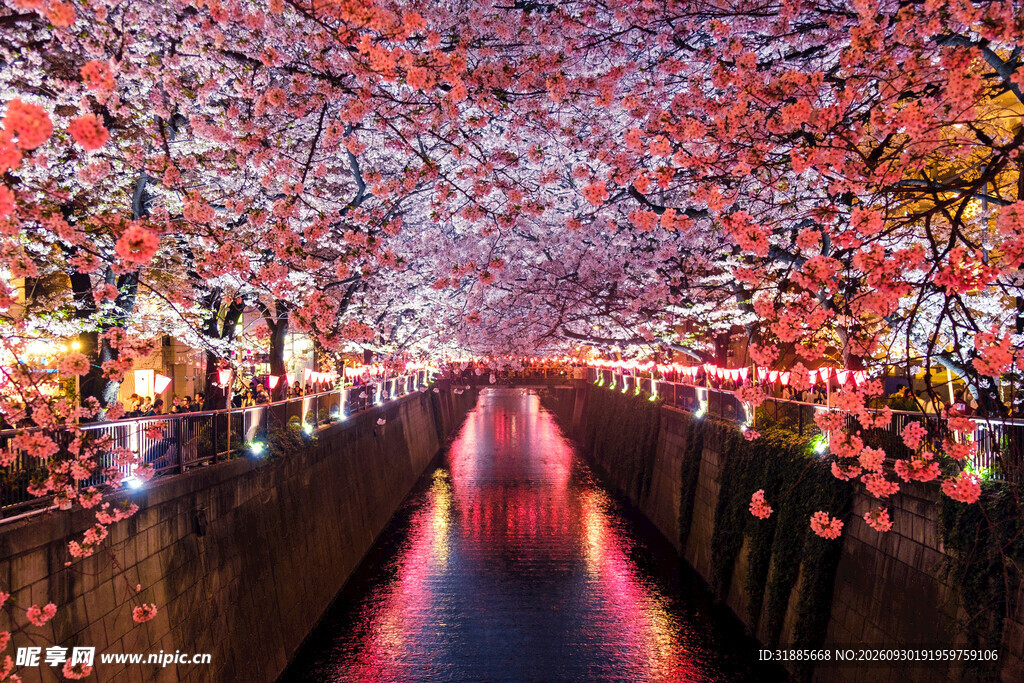 梦幻花廊灯光步道