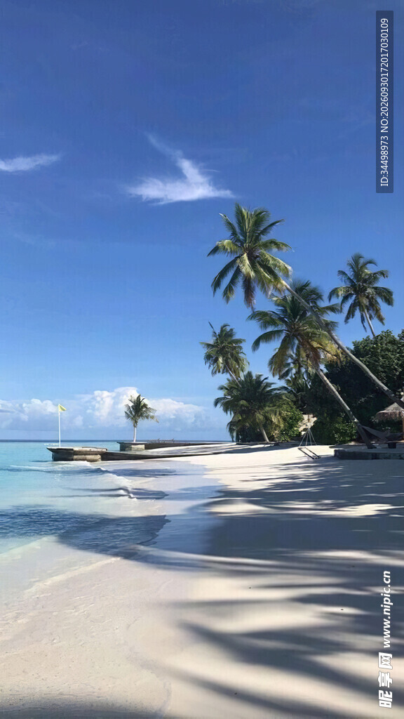 热带海岛椰林沙滩美景