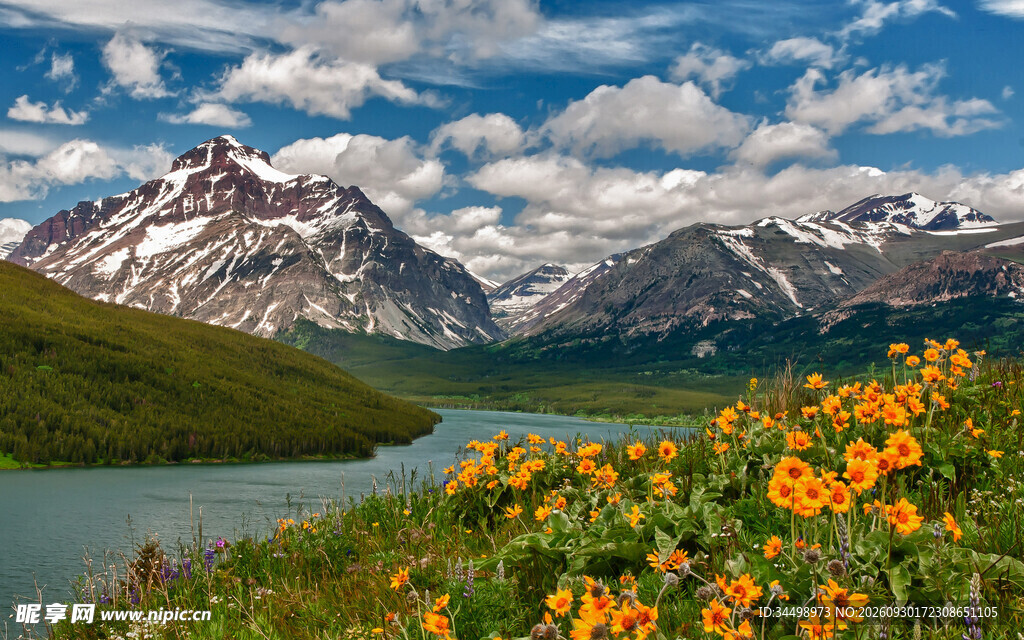 高原雪山湖畔花海美景