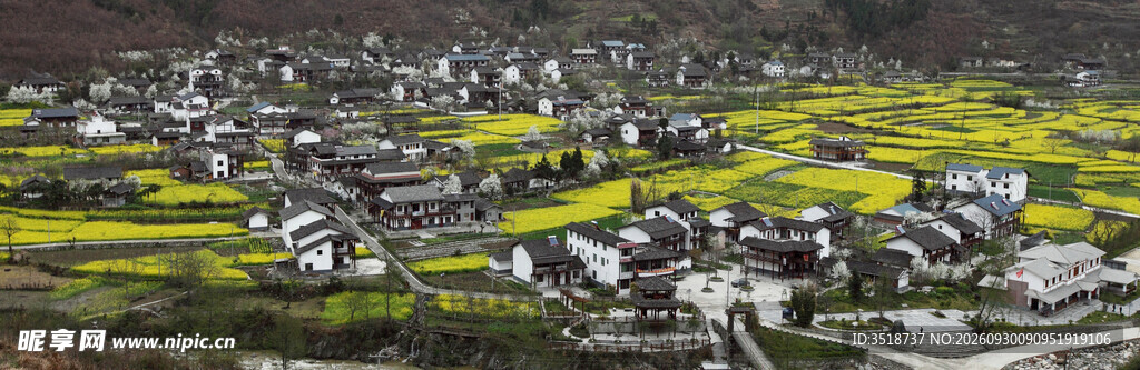 早春风光