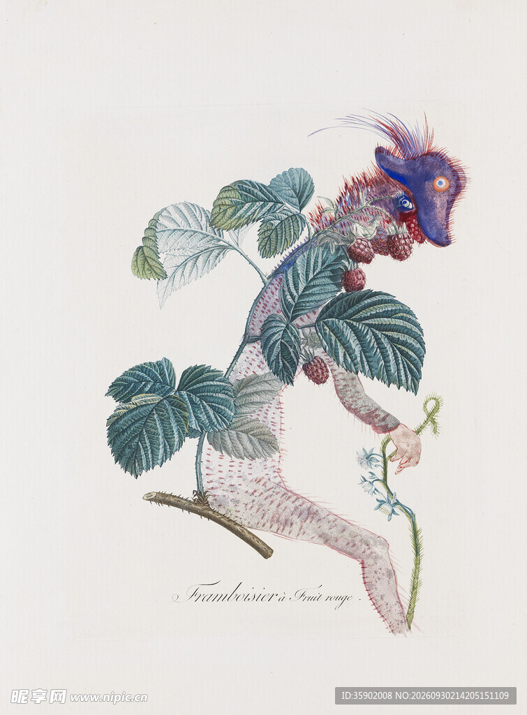 奇幻植物拟人手绘插画