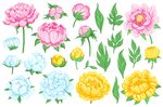 手绘花卉素材
