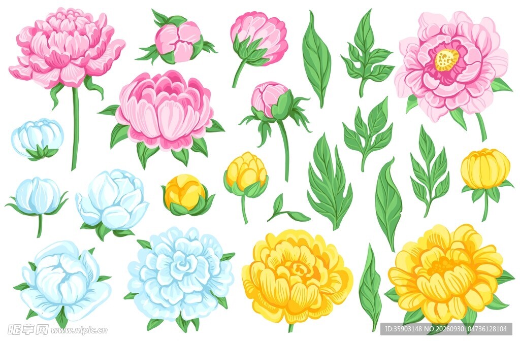 手绘花卉素材