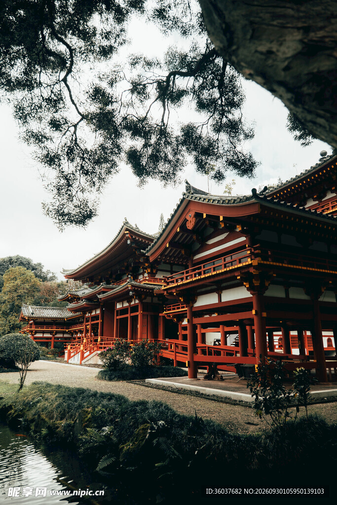 日式古寺庭院风光
