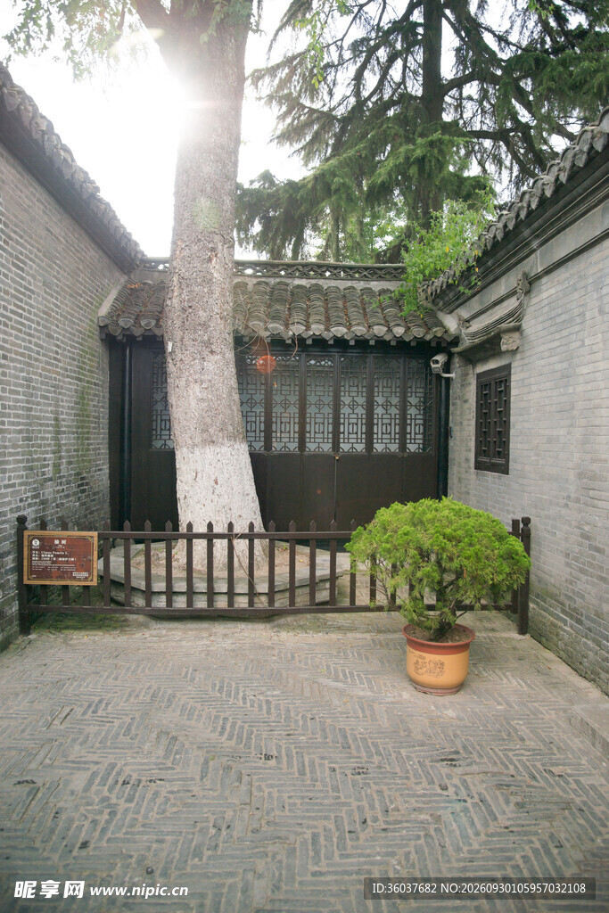 江南古宅庭院小景