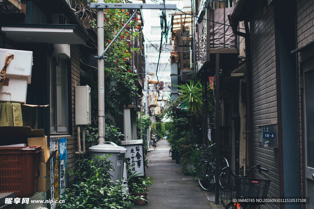 老城文艺小巷街景