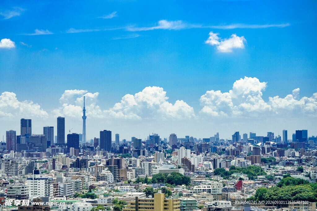 晴空下的东京城市全景