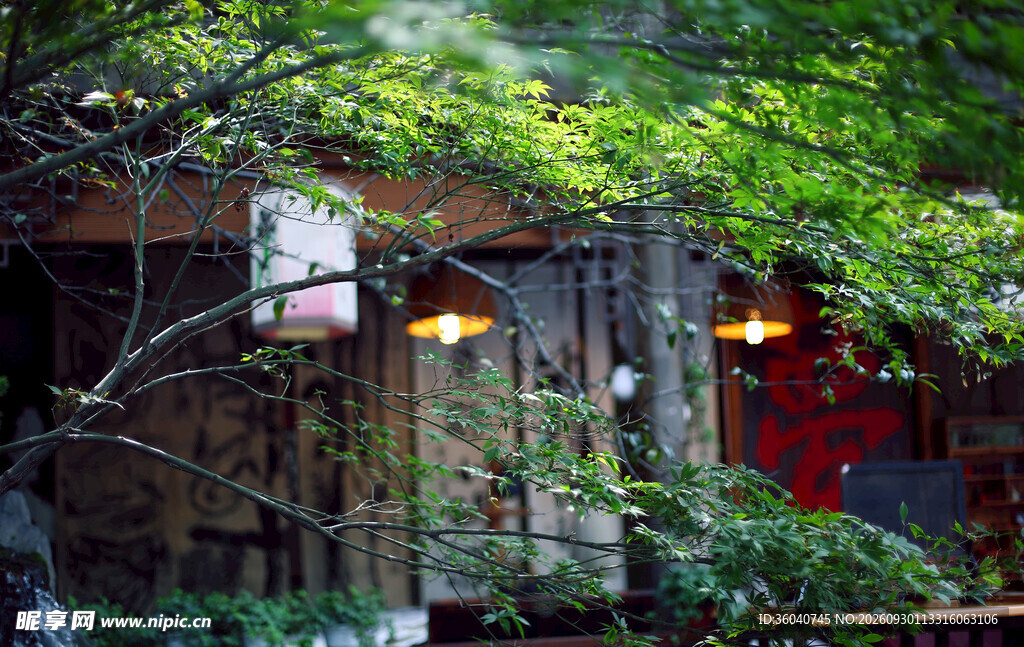 绿树掩映的林间小屋