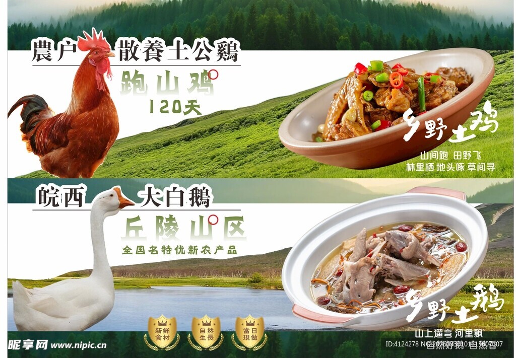 山林走地鸡 皖西大白鹅