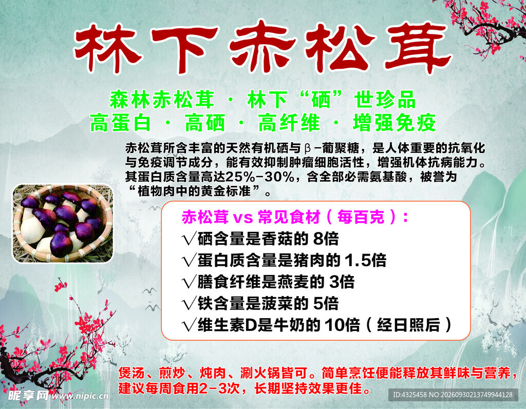 林下赤松茸宣传海报