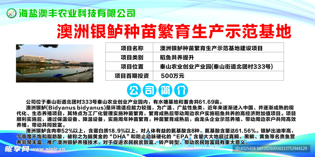 澳洲银鲈种苗繁育生产示范基地