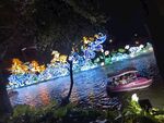 水上龙形彩灯夜景