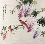 紫藤锦鸡图