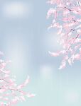 樱花雨背景
