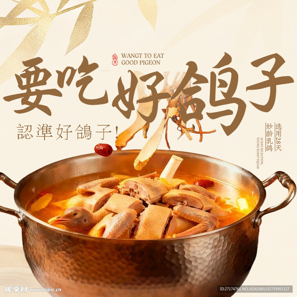 养生鸽子头像入口图