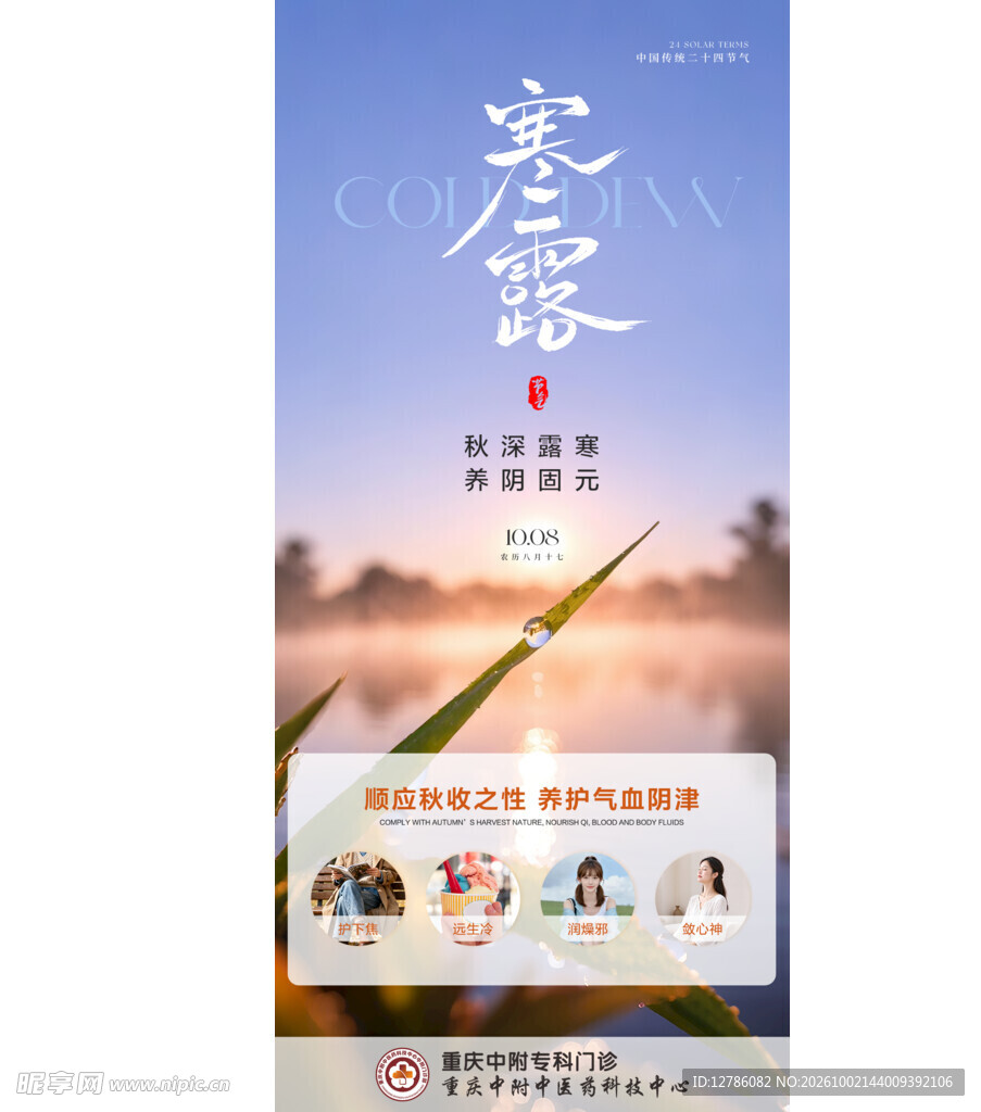 寒露节气宣传海报