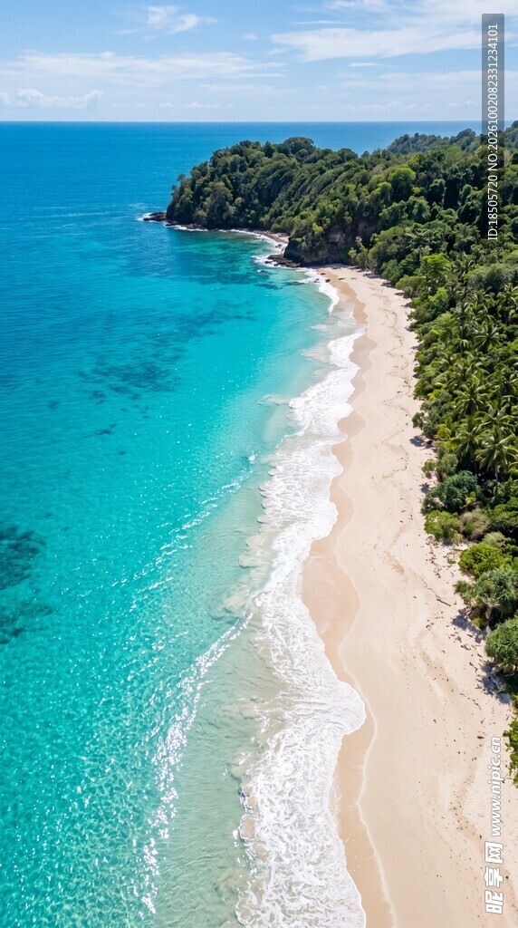 航拍热带滨海沙滩美景