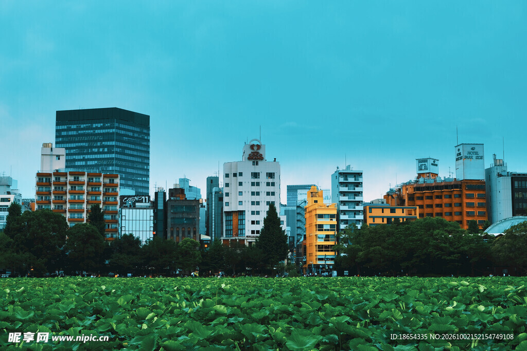 城市天际线绿地景观