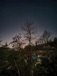 黄昏郊野朦胧树景