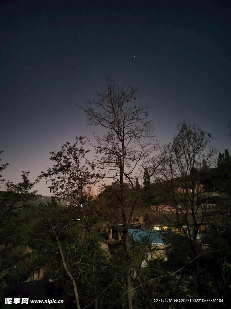 黄昏郊野朦胧树景