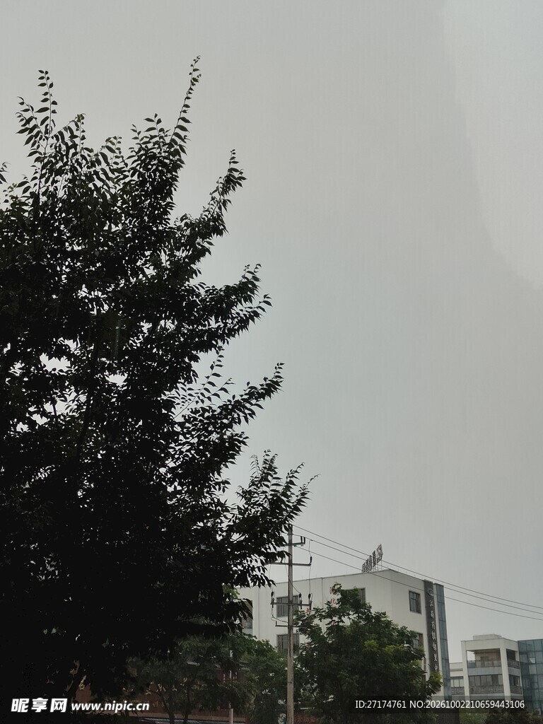 阴天城市树木远景