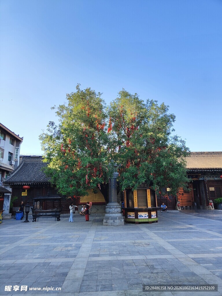 古镇广场绿树蓝天