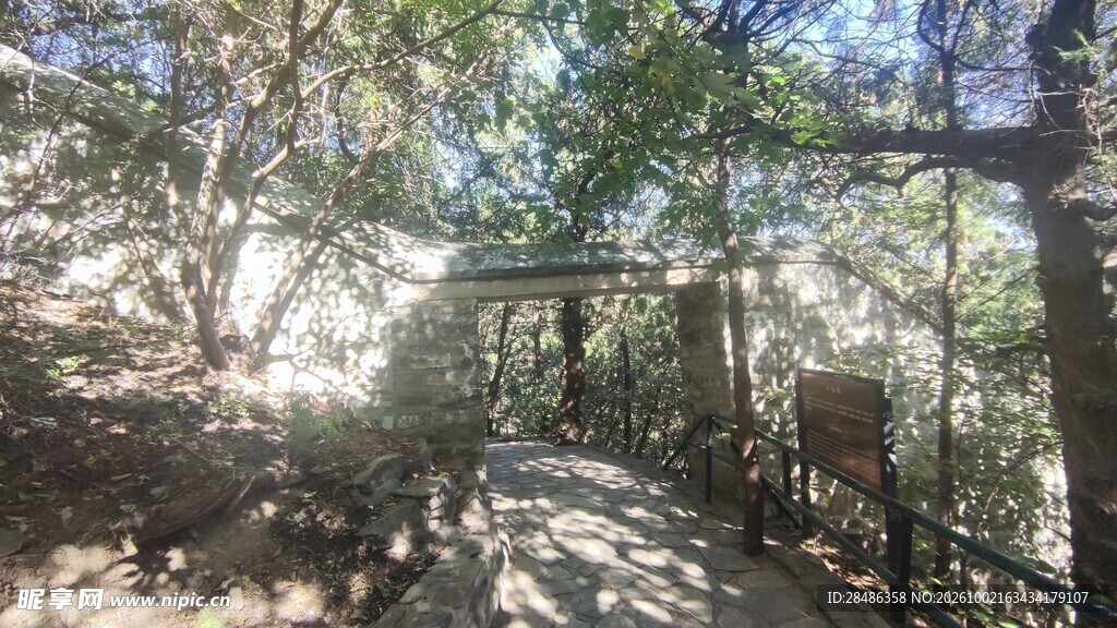 林间阳光步道