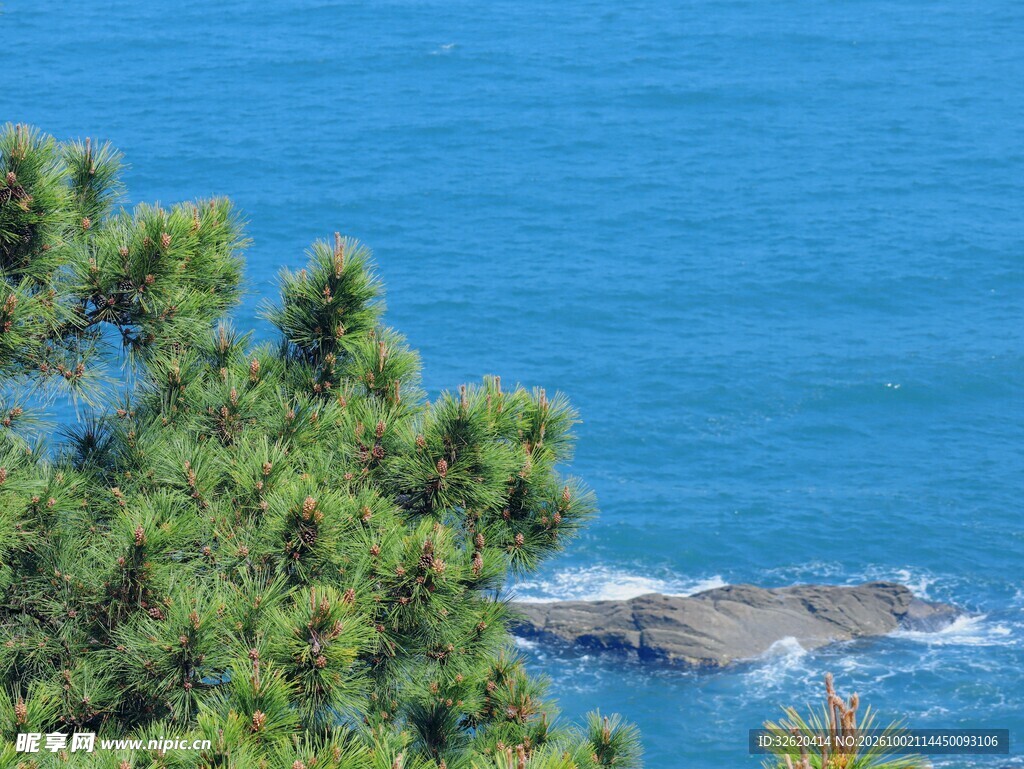 碧海青松海岸风光