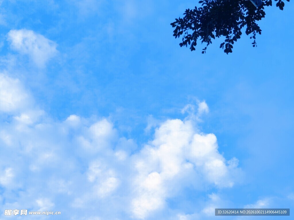 夏日晴空云与树影