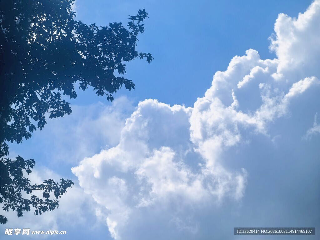 蓝天云树清新小景