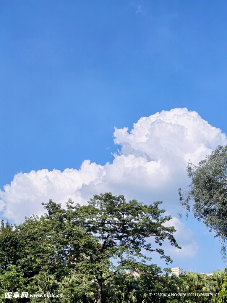 晴空下的绿树与白云