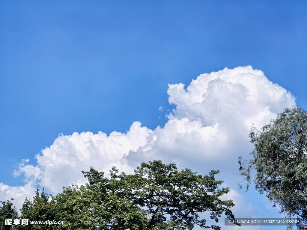 蓝天白云绿树自然风景