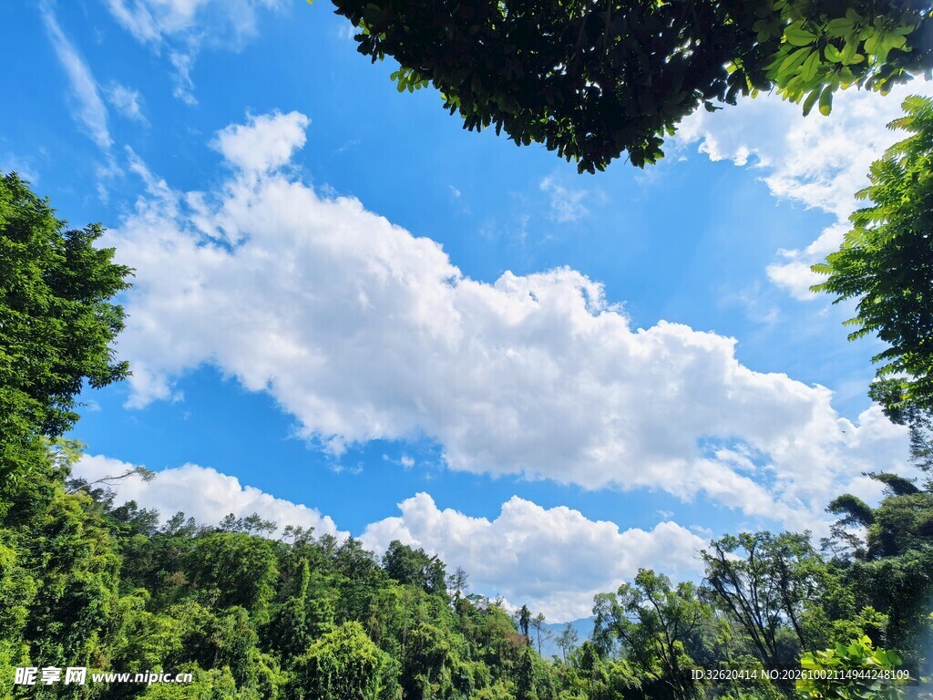 蓝天白云绿树清新风景